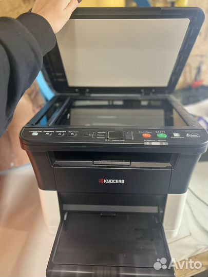 Мфу лазерное kyocera