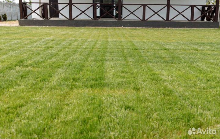 Рулонный газон