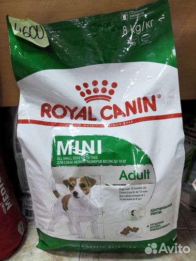 Корм для кошек роял канин Мэйн кун