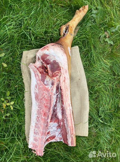 Мясо свинина с доставкой