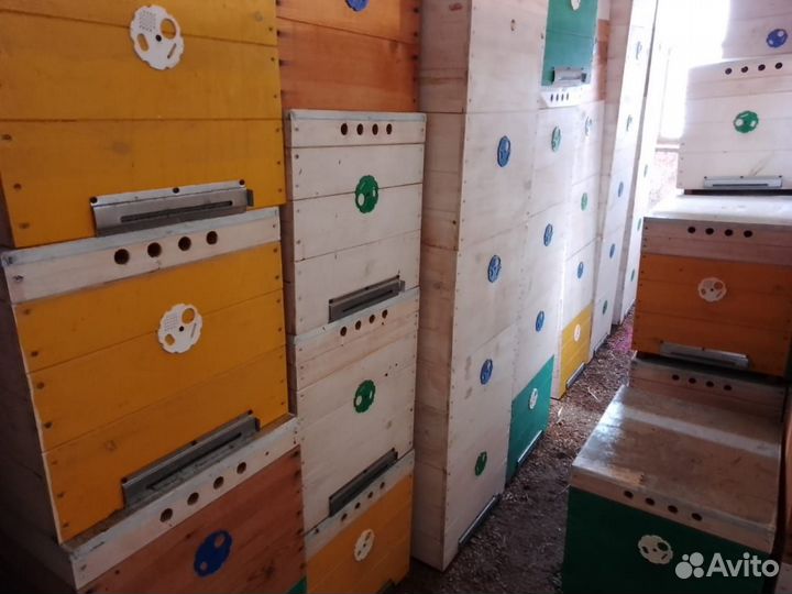 Улья, пчелоинвентарь