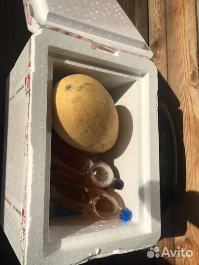 Термоконтейнеры