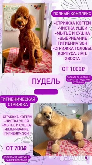 Стрижка собак - Груминг