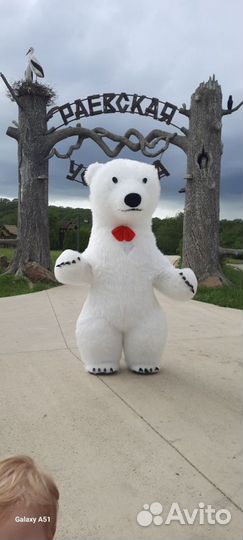 Аниматор/Поздравление от белого мишки