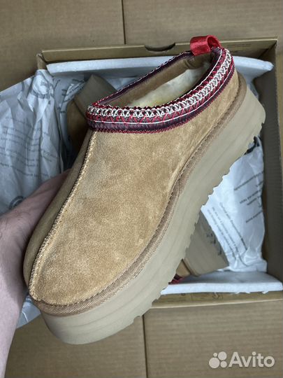 Угги Ugg Tazz Slipper (с мехом)