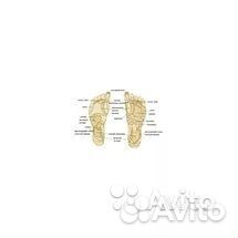 Дорожка массажная С цветными камнями massage road