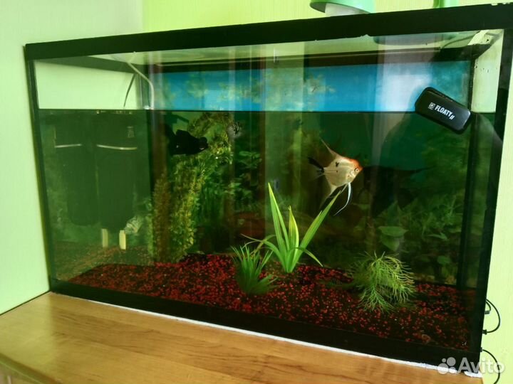 Аквариум