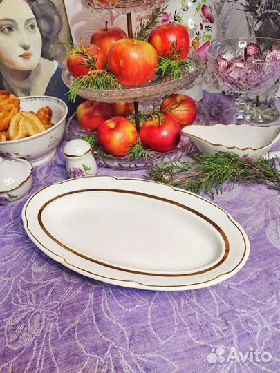 Селедочница зик