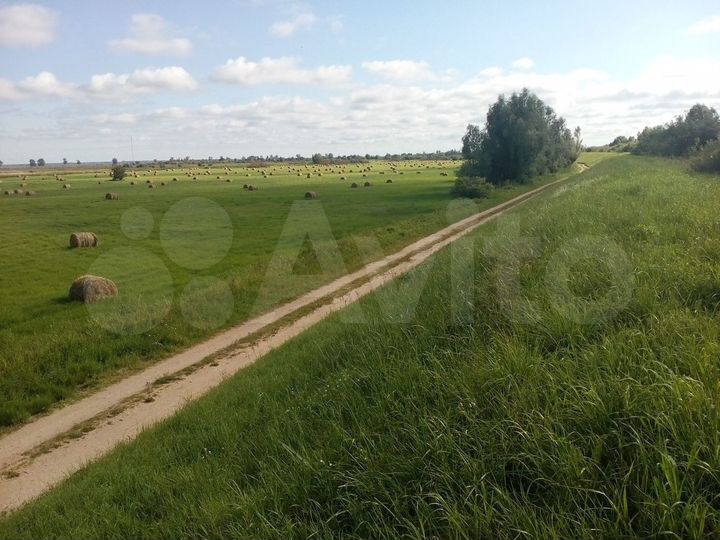 Участок 78 га (СНТ, ДНП)