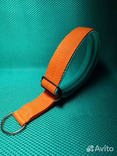 Амуниция для собак