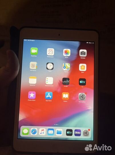 iPad mini 2