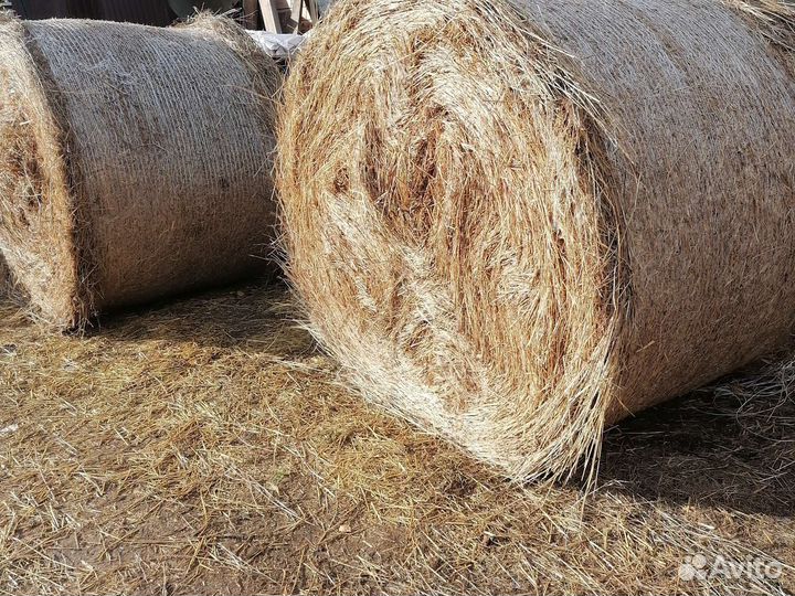 Солома, рулоны с доставкой