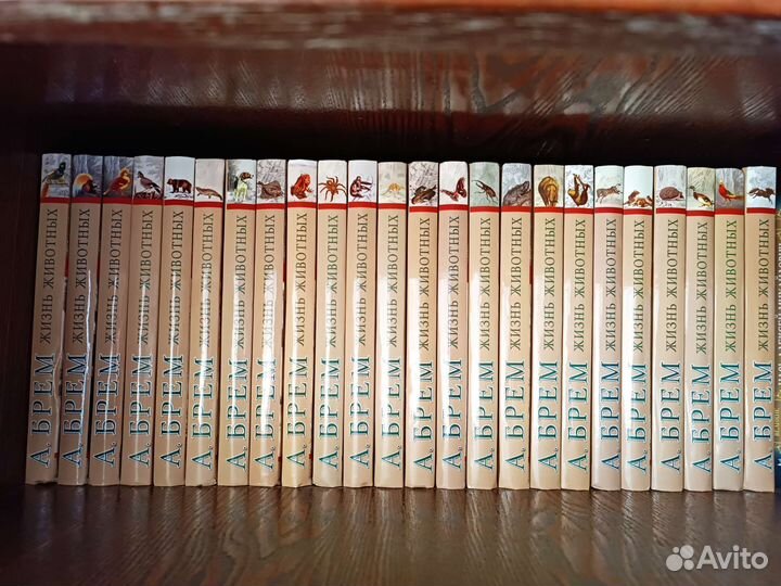 Книги 24 тома