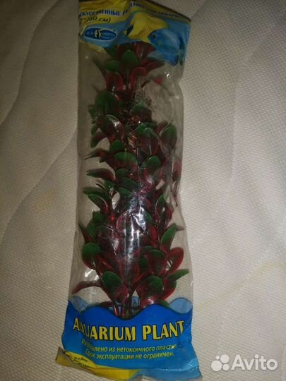 Аквариумные растения