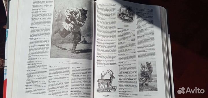 Словарь современного русского языка