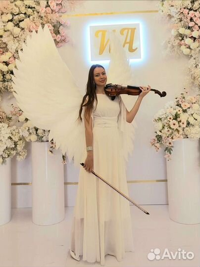 Скрипач на праздник, скрипачка,саксофон