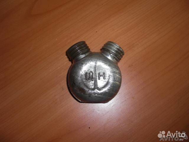 Масленка двухроговая