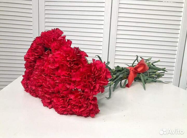 Гвоздика, Купить гвоздики оптом, Цветы Спб