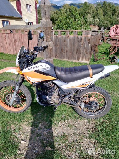 Продаю racer rc250GY panther