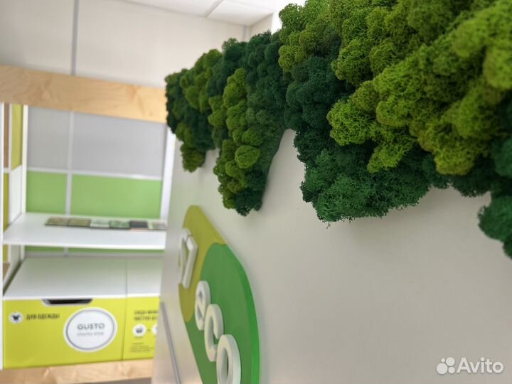 Стабилизированный мох панно