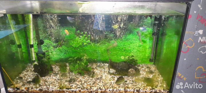 Комплект аквариум 200 л