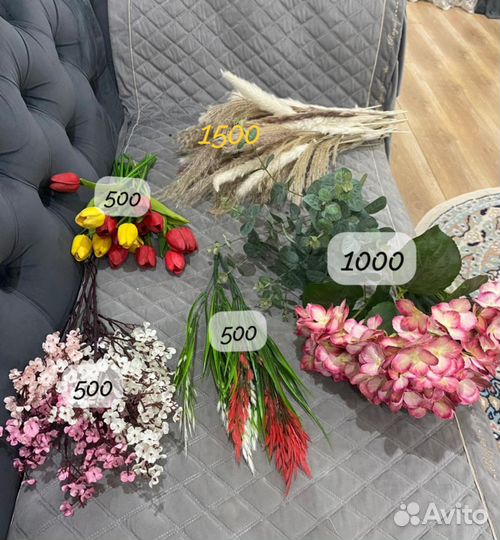 Комнатные цветы