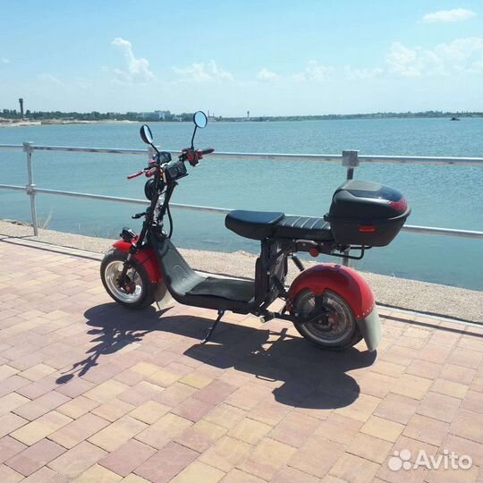 White Siberia /сity-coco