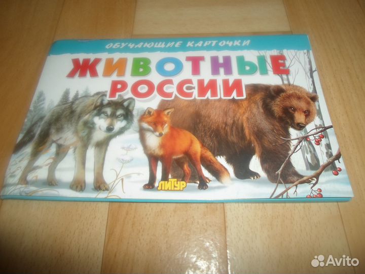 Карточки новые