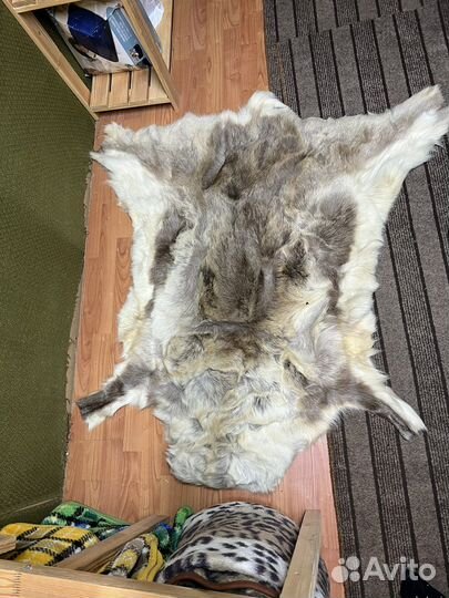 Шкура овчина кожа