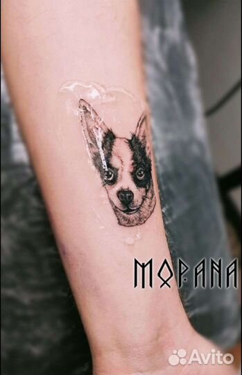 Ищу модель на тату за расходники Москва