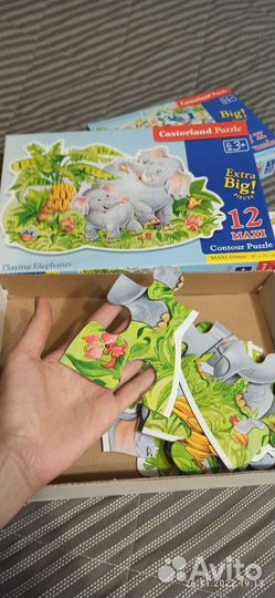 Пазлы castorland, геодом