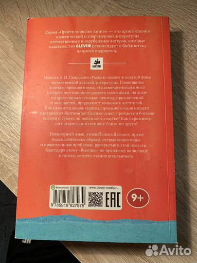 Книга рыжик