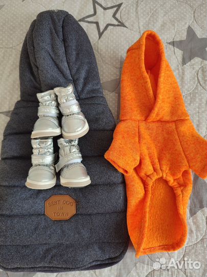 Одежда для маленьких собак