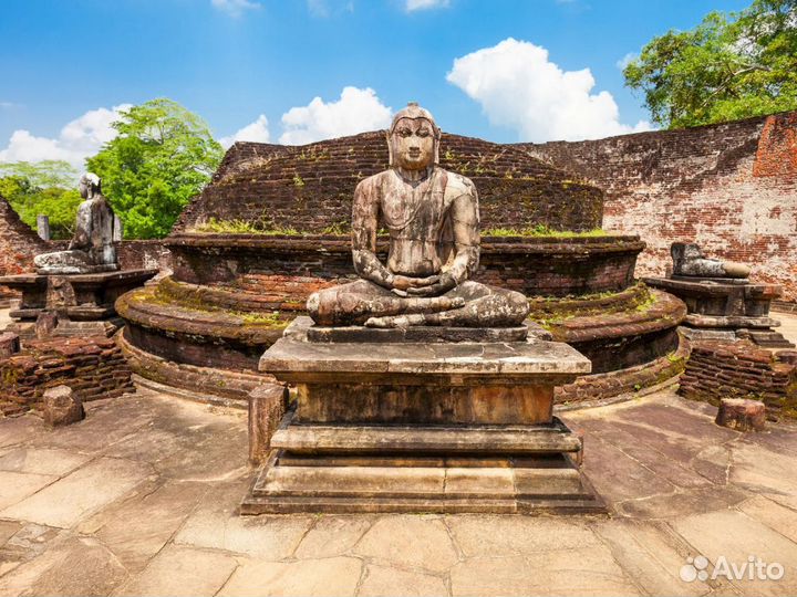 VIP-тур на Шри-Ланку на 7 нч