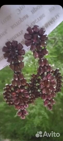 Серебряные серьги