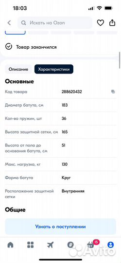 Батут с защитной сеткой