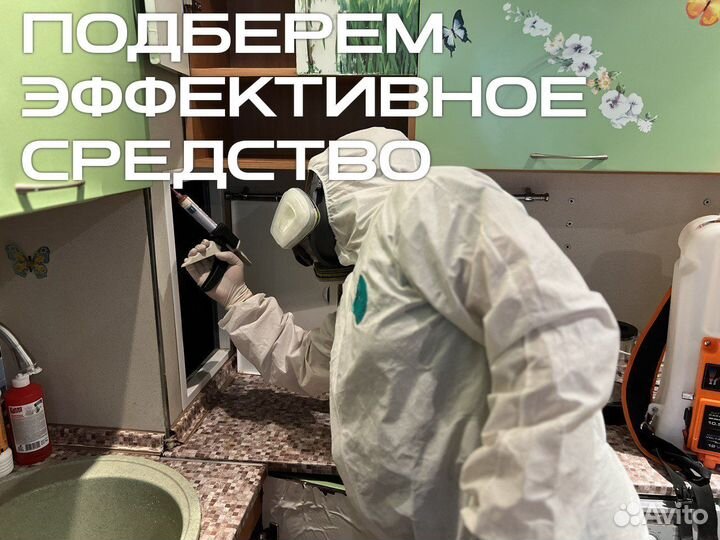 Уничтожение клопов тараканов грызунов плесени