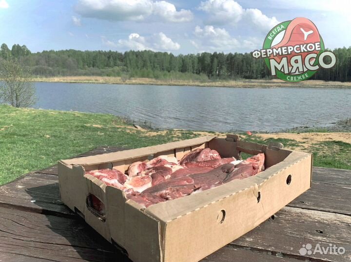 Мясо говядина