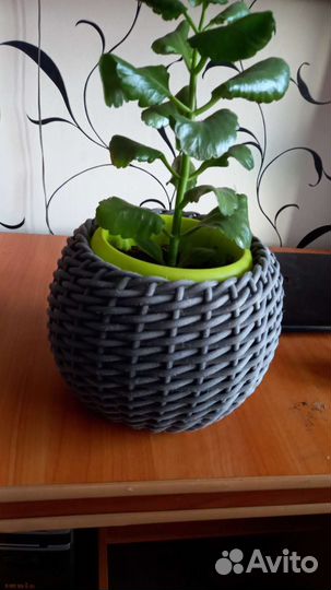 Кашпо из ротанга