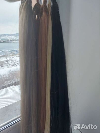 Афрохвост на резинке