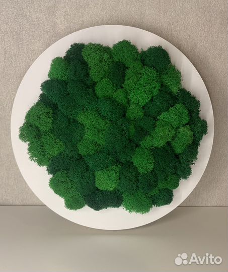 Панно соты в круге со стабилизированным мхом