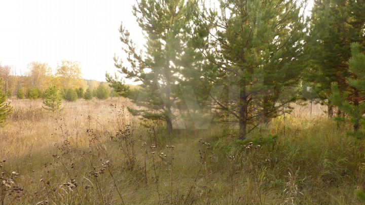 Участок 25 сот. (СНТ, ДНП)