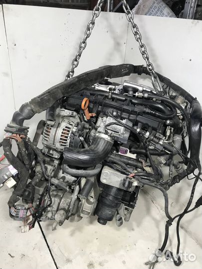 Двигатель BGB Audi A4 B7