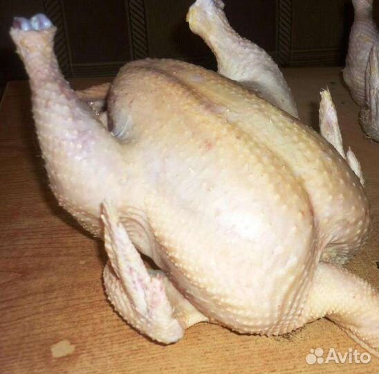 Домашний бройлер