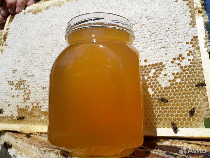 Мёд натуральный оптом