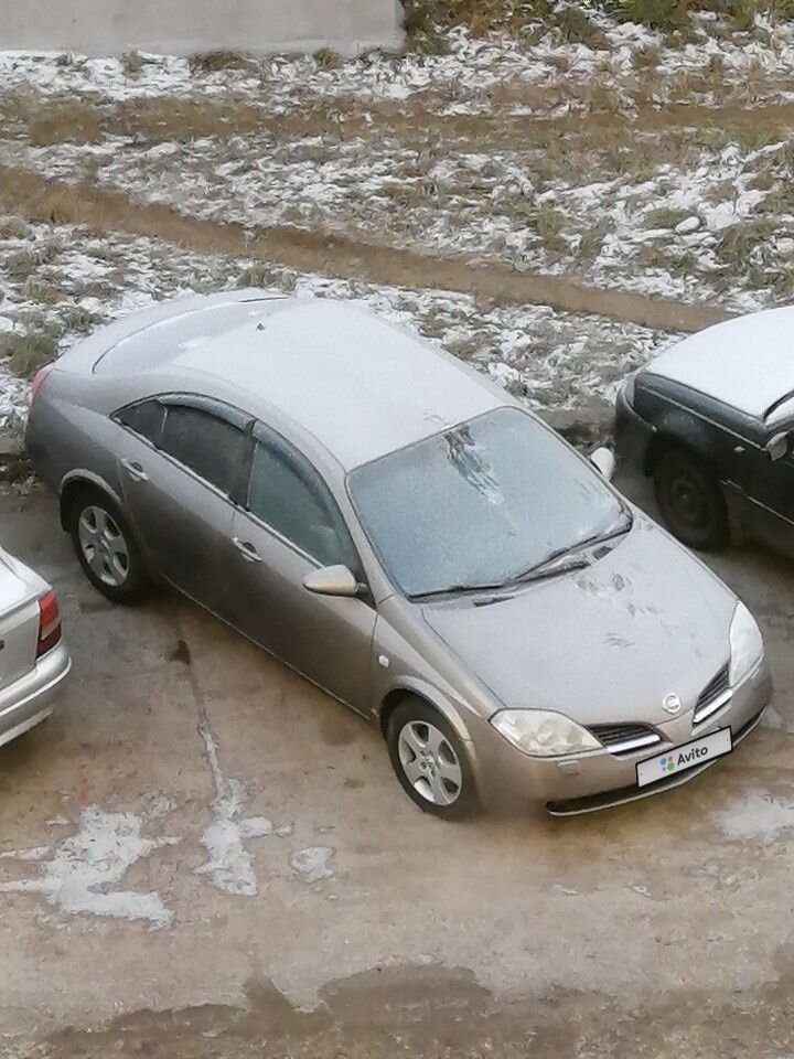 Nissan Primera: фото владельца