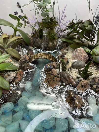 Флорариум 