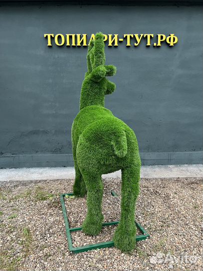 Топиари Топиарные фигуры Садовые фигуры