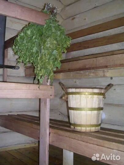 Свежие веники для бани