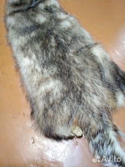 Шкурки барсука